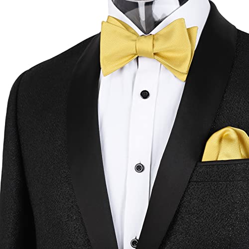 Image of Alizeal Mens 2pcs Solid Self-tied Bow Tie Set