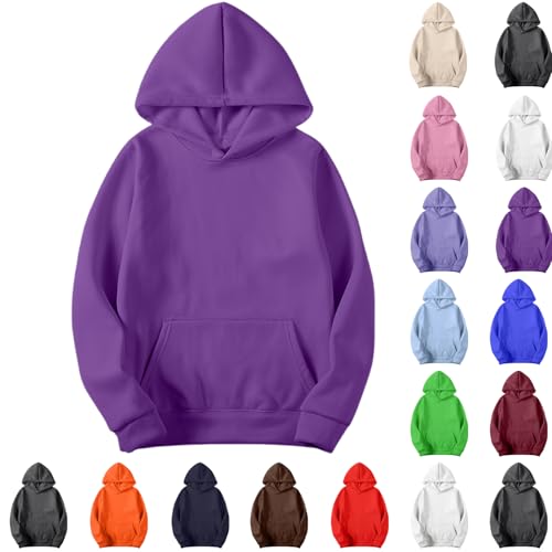 Hoodies for Men Pullover,Oversized Long Sleeve Fleece Hooded Sweatshirt Lightweight Casual Fall Winter Y2K Hoodies Purple