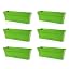 Light Green 6pk