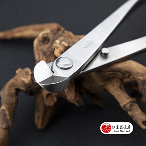 Alicate Profesional para Bonsái 205 mm Aleación de Acero miniatura 6