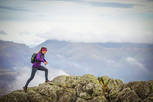 Image of INOV8 Roclite 345 GTX
