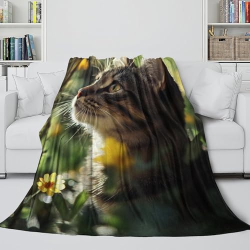 Couverture plaid chat ultra douce pour réchauffer vos hivers en douceur - 5