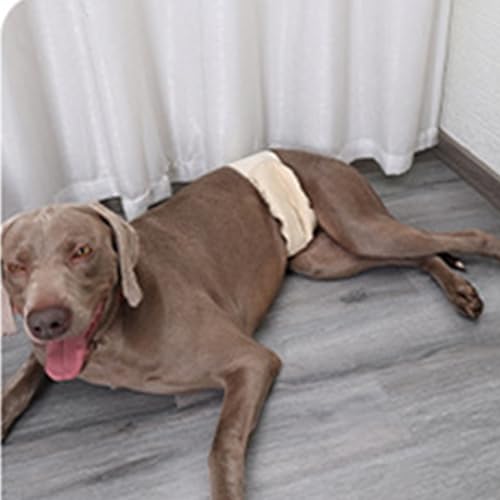 Fraldas para cães masculinos - Fralda de xixi para cachorro,Fraldas para cães de alta absorção para