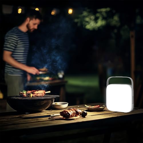 Image of amazon basics Rechargeable 180 3.7V 2400Mah Light Lantern | 90 LEDs | Type-C Charging | Adjustable Brightness | Replaceable Battery : Amazon.in: Sports, Fitness & Outdoors, White