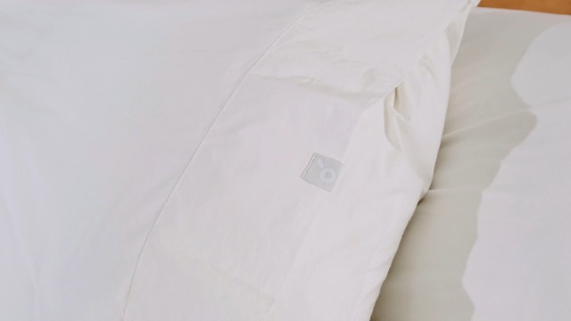 Amazon｜koala (R) 枕カバー オーガニックコットン100