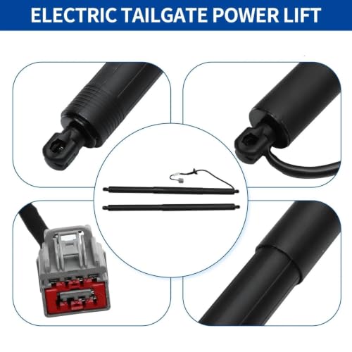 Support levage hayon électrique Tesla Modèle S 12-19