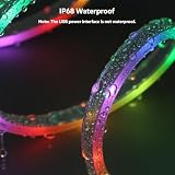 Neonowa taśma LED 5 m, 5 V RGB z IC LED, wodoszczelna, elastyczna neonowa linka świetlna z portem USB, kontrolerem, aplikacją, inteligentne sterowanie do sypialni, salonu i dekoracji na zewnątrz