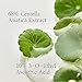 Beauty of Joseon Light On Serum Vitamin C Centella Dark Spot Fine Lines Pigmentation Correcting Serum, Hydrating Moisturizer, Korean Skin Care for Men and Women, 30ml, 1 fl.oz