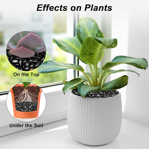 Image of Pebbles for Indoor Plants,Virekm River Rocks,Decorative Ornamental Pebbles,Garden Landscaping Stones Gravel Filler for Home Decoration Flower Bed Fish Tank Plants Vases Succulents (10 Pounds)