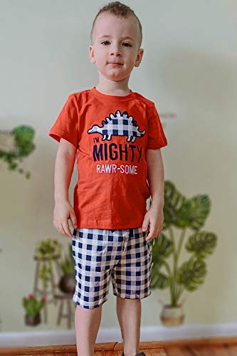 Image of Bumeex Toddler Boy's Short Sleeve T-Shirt and Short Outfit Set 2-7T