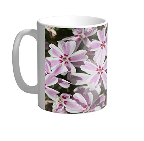 Buy Candy Stripe Wallpaper Ceramic White Mug Online at Low Prices in