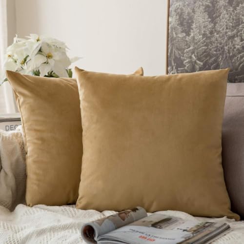 Image of 5 Piece Holland Velvet Cushion Cover, 24x24 inch, Beige | Soft Solid Decorative Throw Square Pillow Cases Modern Luxury Home Decor for Couch Sofa Bedroom Livingroom