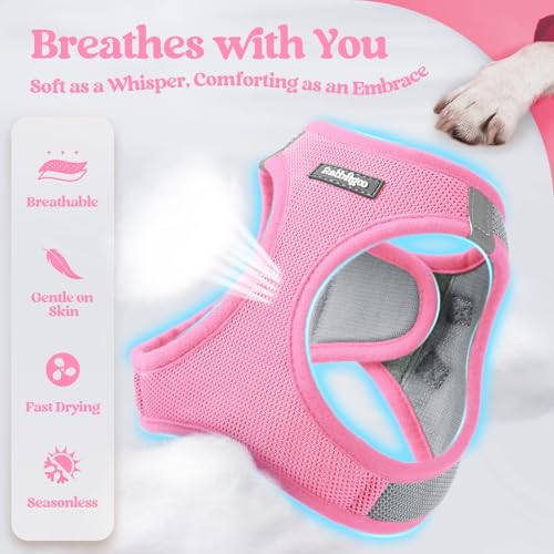 Image of rabbitgoo Dog Harness Medium Sized and Leash Set, Step-in Puppy Pet Vest