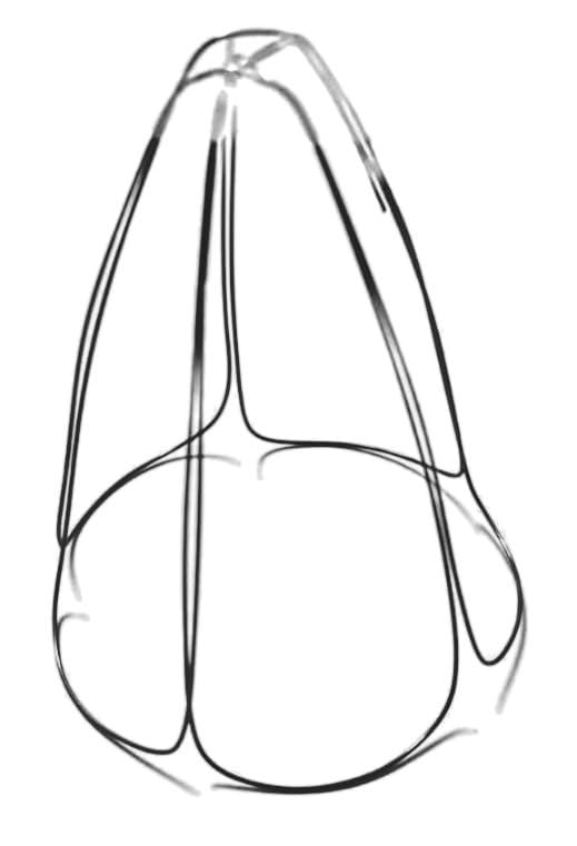 Shape Memory Nitinol Wire - Bend & Return! -3