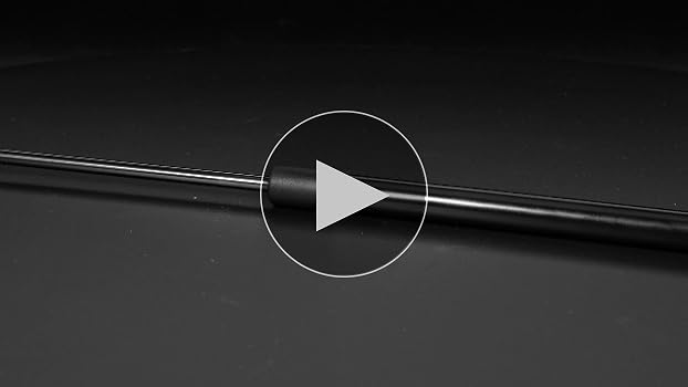 みむページ Amazon | プリウス 30系 ZVW30 ZVW35用 リアゲートダンパー