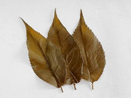 桜の葉 塩漬け 純国産 無添加 四斗樽仕込 桜葉漬 Sサイズ50枚 2 野村商店 純国産 無添加 四斗樽仕込 桜葉漬 塩漬 通販 Amazon