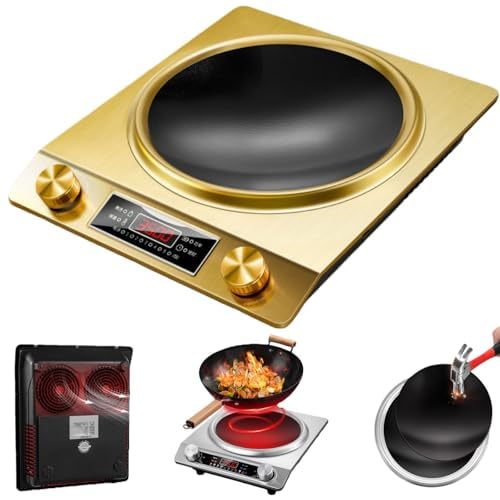 Placa de inducción con diseño cóncavo, 10 niveles de temperatura, estufa portátil de grado comercial para freír y hervir