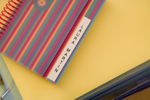 Brother P-Touch, Ptm95, Monochrome, Handy Label Maker, 9 Type Styles, 8 Deco Mode Patterns, Navy Blue, Blue Gray #TOP5