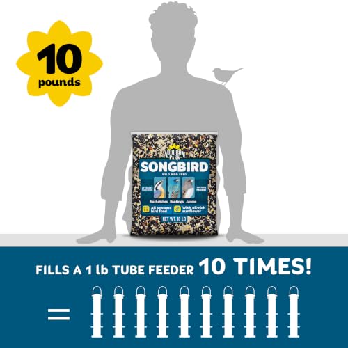 Image of Audubon Park Songbird Wild Bird Seed, 10 lb. | Year-round outdoor bird food for outside feeders