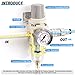 TAILONZ PNEUMATIC 1/4 Inch NPT Air Filter Pressure Regulator Combo Piggyback, Air Tool Compressor Filter with Gauge AW2000-02