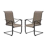 VICLLAX Outdoor Dining Chairs Patio Furniture for Garden Porch Set of 2