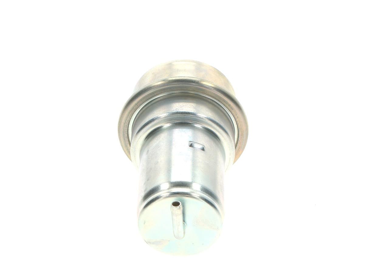BOSCH Accumulatore pressione, Pressione carburante 0438170004 Compatibile con: BENTLEY T2 SERIES Stufenheck, FERRARI 208/308 Coupe, 208/308 Targa, 328 GTB, 328 GTS, 400 i, 412 i, 512 BB, MONDIAL