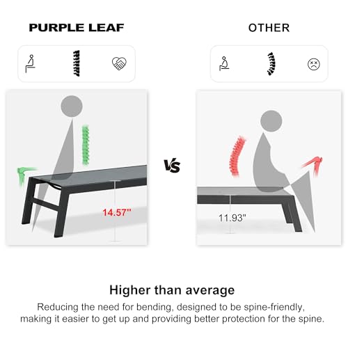 Image of PURPLE LEAF Outdoor Chaise Lounge Set of 2 Aluminum Patio Lounge Chair with Wheels and Side Table Pool Chaise Lounge Chair for Outdoor Backyard Poolside Mixed Grey (2 Lounges Chairs W /Table)