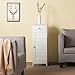 Yaheetech Bathroom Floor Storage Cabinet, Freestanding Side Table Storage Organizer Unit with Drawer and Single Shutter Door, D11.8xW12.6xH34.3 Inches