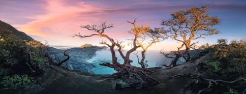 Ravensburger 17094 Puzzle Jeu De Puzzle 1000 Pièce Paysage - vue 3