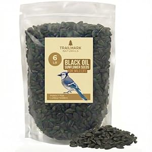 6 Pound Black Oil Sunflower Seeds for Birds – Premium Wildlife Food – Non – GMO -Grown in The USA – Black Oil Sunflower Seeds for Wild Animals and Backyard Feeders