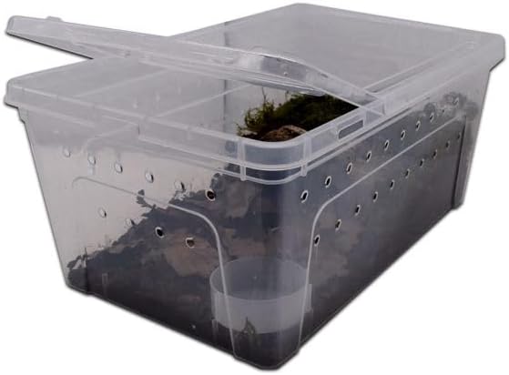 Megaplast - Secure Plastic Enclosure for Tarantulas, Reptiles and Other Exotic Pets (Large (37 x 24 x 16 cm))