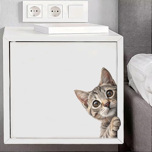 Vinilo Decorativo Gato Divertido para Puerta y Ventana miniatura 1