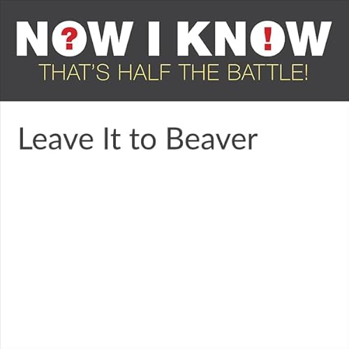 Leave It to Beaver Audiolibro Por Dan Lewis arte de portada