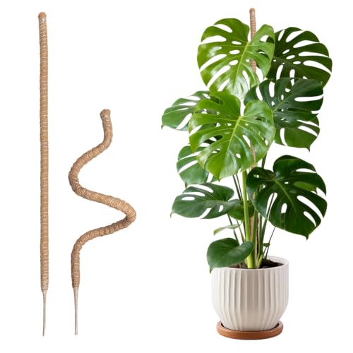Wigearss 2 Pezzi Bastone di Muschio, Palo Cocco Piante Sostegno Piante Supporti, Pieghevoli Fibra di Cocco, Tutore Muschiato per Monstera Rampicanti, 120cm