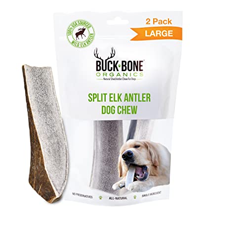 elk split bones for dogs - Buck Bone Organics Dog Chews, Elk Antlers for Dogs, Long Lasting Dog Bones for Aggressive Chewers, All Natural, No Preservatives, Wild Shed in The USA (Large 2 Pack)