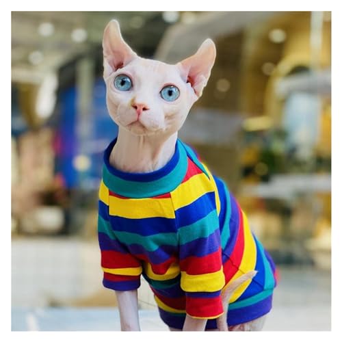 Ropa para gatos Sphinx en algodón elástico arcoíris talla L+ 2