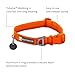 Ruffwear, Front Range Dog Collar, Adjustable Tubelok Webbing, Lightweight, Side Release Buckle, Aluminum V-Ring, Durable for Everyday Use, Blaze Orange, 14