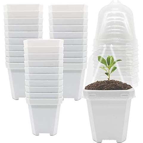 PURPLE STAR 1N 30 PCS Plant Nursery Pots with Humidity Dome-Gardening Pots Small-Square Planting Containers Cups for Succulents Seedlings Cuttings Transplanting Cover