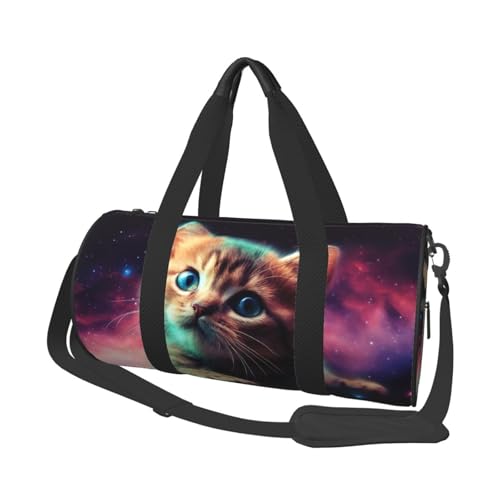 X|[cWobO fB[X Y gx _btobO g[g EB[NG_[ obO L[I I[o[iCgobO s j tBbglX [NAEg X|[c ؍ ~  _btobO, Galaxy Cat Baby, On