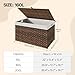HOOBRO Storage Basket with Lid, 42.3 Gallon (160L) Wicker Basket, Handwoven Blanket Storage Basket with Handles, Metal Frame and Soft Lining, Foldable for Bedroom, Laundry Room, Brown BR216CW01