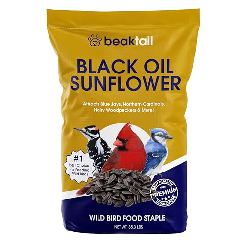 Bangerz Sunz Black Oil Sunflower Seeds for Birds 35.3 Pounds, Wild Bird Seed for Outside Feeders, Great for Northern Cardinals, Blue Jays and Hairy Woodpeckers, Wild Bird Food 35.3lbs