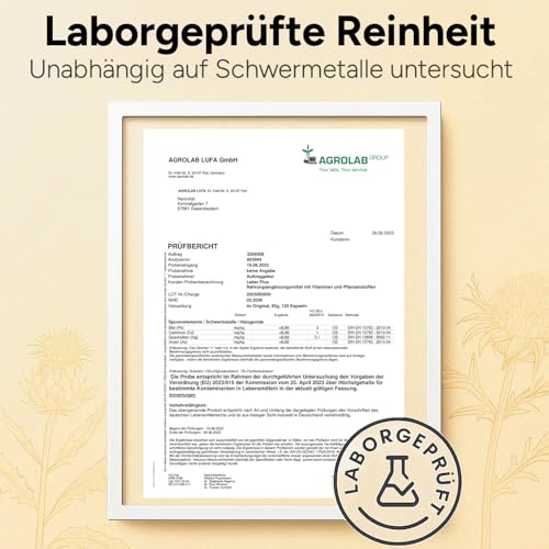 Leber Kur Mariendistel Kapseln hochdosiert - 80% Silymarin, Artischocke, Löwenzahn, Curcuma, Desmodium und Cholin für die Leber Testsieger - 8-Fach Komplex