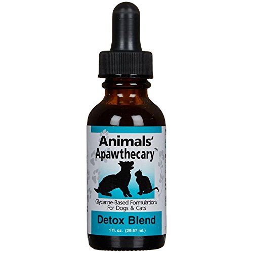 10 Best Liver Tonic For Dogs