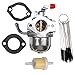 NiseWuds Kit de carburador de Cuchilla de Acero de cabecera de Acero, carburador para 0a4600 091187 091187a generador 410cc 410hs gn410 gn360 gh360 carbohidratul