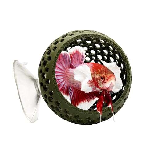 Image of CTWPets Natural Betta Bulb Hide | Betta Rest Fish Tank Ornament | Aquarium Cave with Suction Cup for Small Fish Tank, Betta Habitat, Shrimp Hideout, Aquatic Decor (Forest Green)