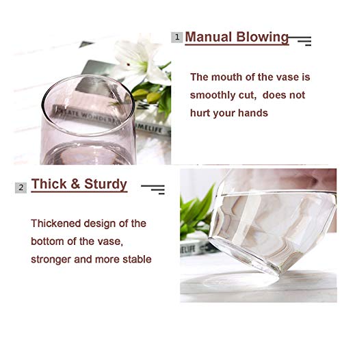 Glazen bloemenvaas, in stijl kristalheldere vaas, decoratieve vaas, handgemaakte bloemenbloem, plantenbak, terraria, glazen vaas voor bloemen, hydrocultuur planten, bruiloft, housewarming party, thuis kantoor decor - Afbeelding 4
