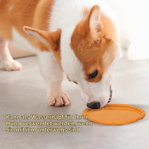 Vivifying Hundefrisbee, 2 Stück, 15 cm aus Naturkautschuk, Grün/Orange – Ansicht 8