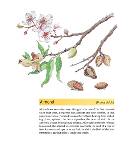 The Complete Guide to Seed and Nut Oils: Growing, Foraging, and Pressing
