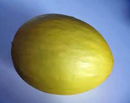 Miniatura 3 de Melón de rocío de miel, rocío de miel verde dulce, reliquia, más de 50 semillas, delicioso