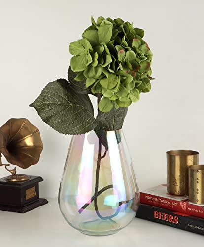 The Bright Storey ® Irised Clear Glass Cylinder Flower Vase Thick Bottom Large Glass Vases for Centerpieces Flowers Decor for Living Room Kitchen Office Home Wedding (B0BX9818X5) Amazon Price History, Amazon Price Tracker